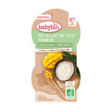 Dessert di riso bio con crema di cocco e mango, 2 x 100 g, BabyBio