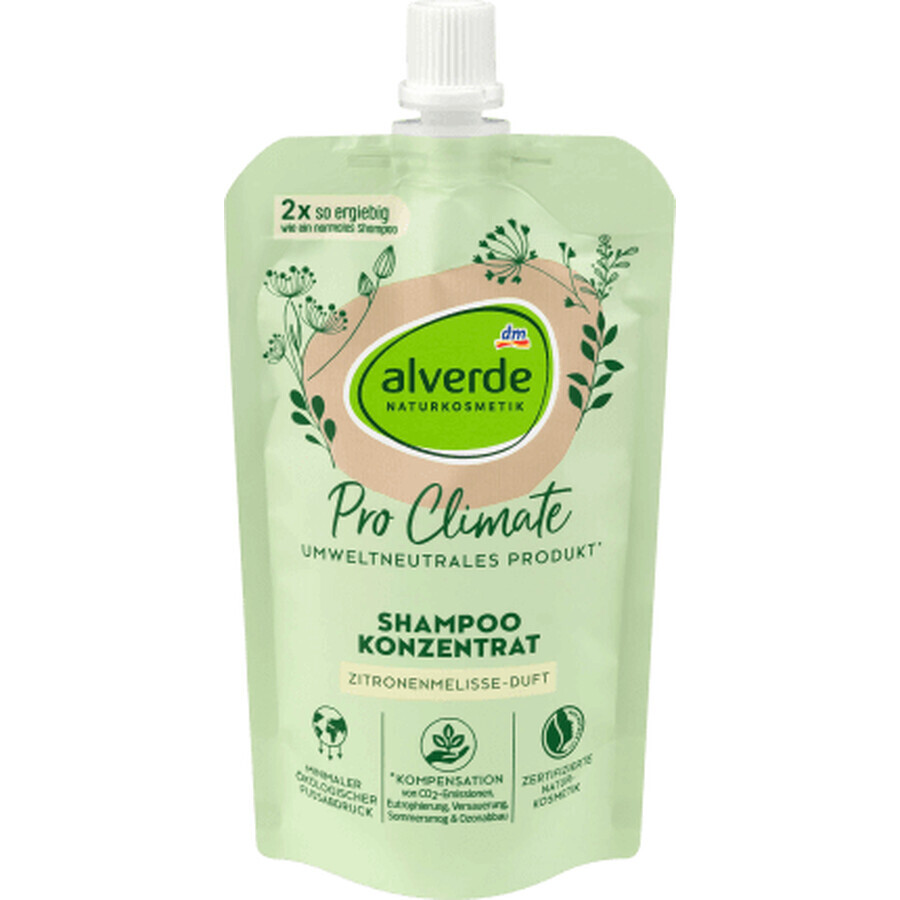 Alverde Naturkosmetik Pro Climate champú concentrado, 100 ml