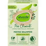 Alverde Naturkosmetik Pro Climate vaste shampoo appelgroen, 60 g