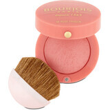 Buorjois Paris Colorete 54 Rose Frisson, 2,5 g