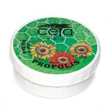 Propolis balm cream, 20 g, Ceta Sibiu