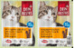 Dein Bestes snack para gatos con carne de pollo y pato, 50 g