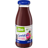 DmBio Smoothie apple and aronia ECO, 245 ml