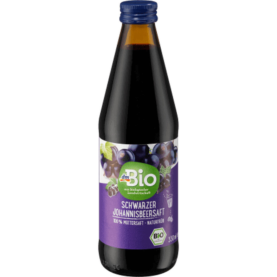 DmBio ECO Blackcurrant Juice, 330 ml