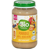 DmBio Apple porridge with blueberries and ECO cereals, 190 g