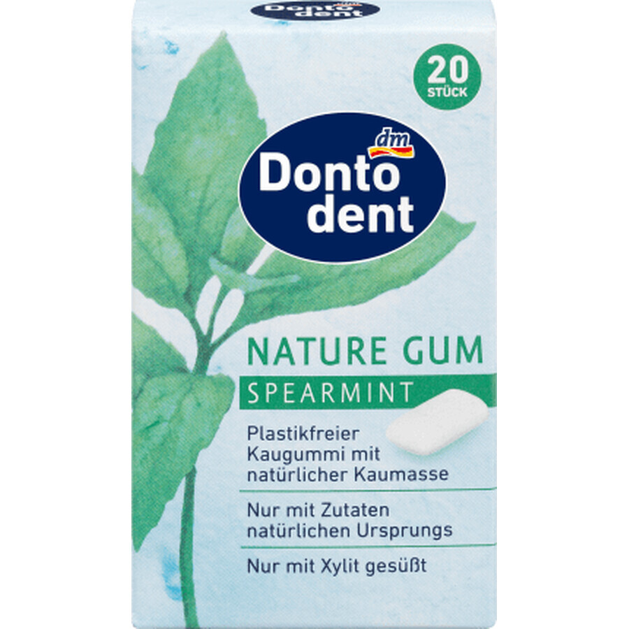 Chicle Dontodent Menta, 28 g