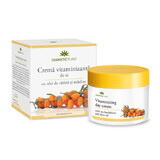 Crema da giorno vitaminizzante con olio di olivello spinoso e olive, 50 ml, pianta cosmetica