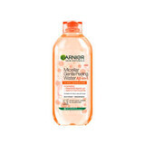 Garnier Skin Naturals Agua Micelar Exfoliante Suave, 400 ml, 400 ml