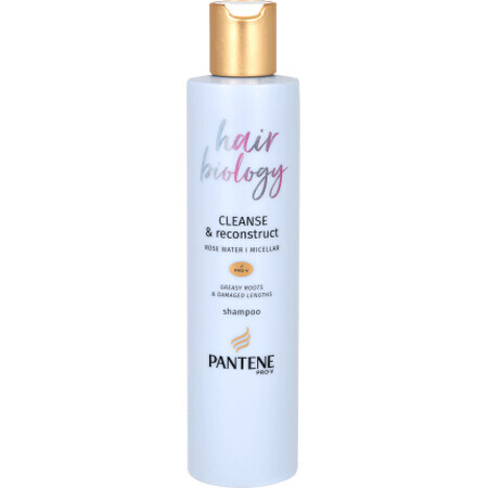 Champú Hair Biology Cleanse &amp; Reconstruct, 250 ml