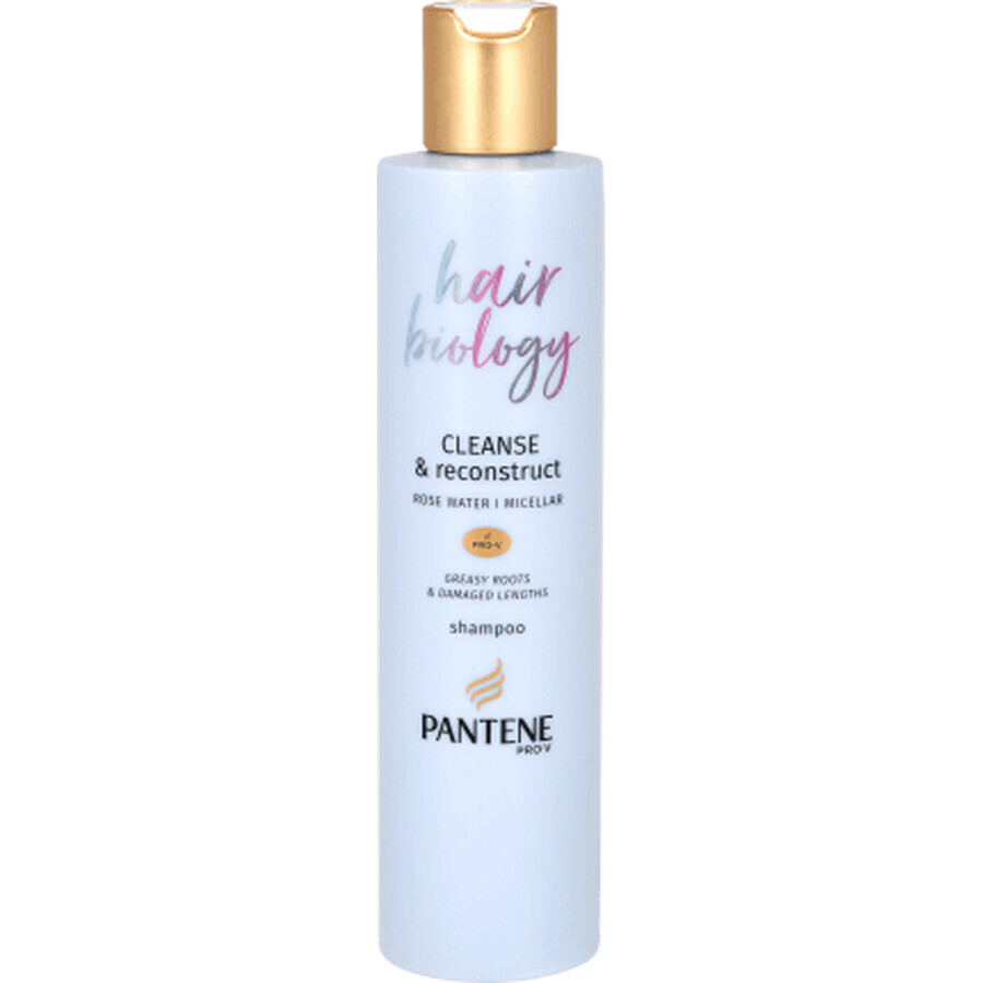 Champú Hair Biology Cleanse &amp; Reconstruct, 250 ml