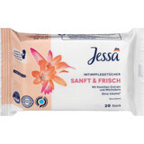 Jessa Intimate Hygiene Wipes, 20 pcs