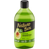 Nature Box Shampoo per capelli con olio di avocado, 385 ml