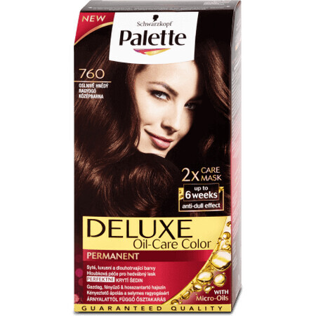 Paleta Deluxe Pintura Permanente 760/4-65 Marrón Brillante, 1 ud.