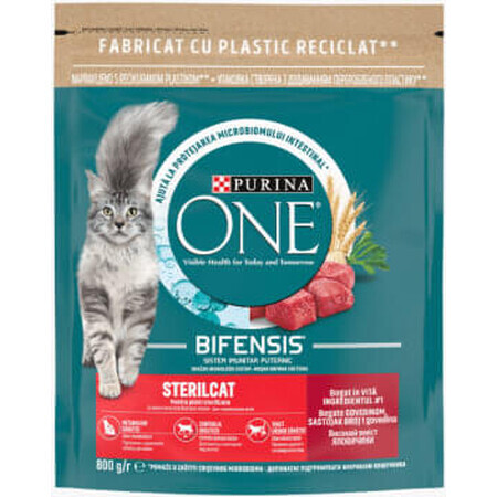 Purina One Alimento secco per gatti con manzo, 800 g