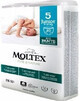 Moltex